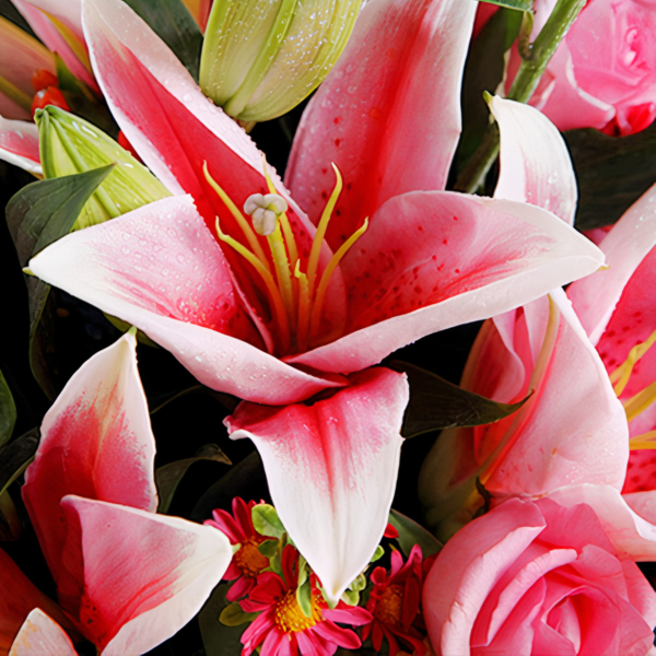 Medium bouquet of pink roses, oriental lilies, chrysanthemums and foliage accents wrapped in quality matte paper
