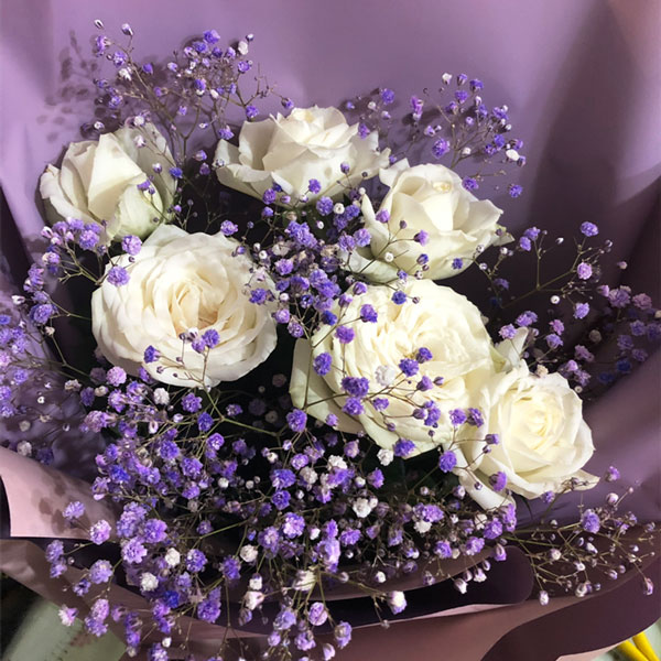 Medium bouquet of 6 white roses and purple-dyed baby's breath flowers, wrapped in quality matte paper