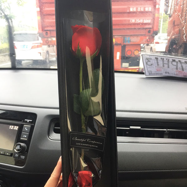 A single red rose enclosed in an elegant gift box