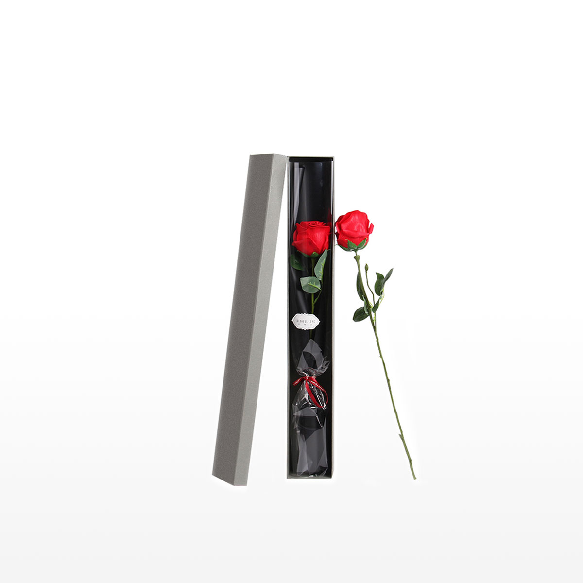 A single red rose enclosed in an elegant gift box