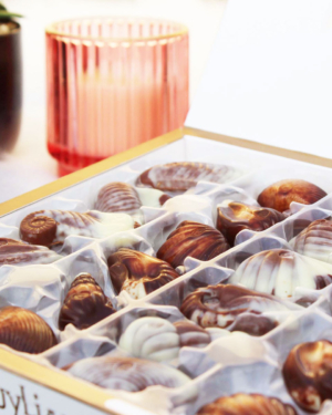 Guylian Belgian Chocolate Sea Shells 250g