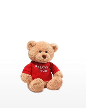 Gund 'I Love You' Bear 28cm