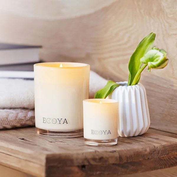 Spiced Ginger & Musk Mini Madison 80g by Ecoya. Vibrant mini fragrant candle for China.