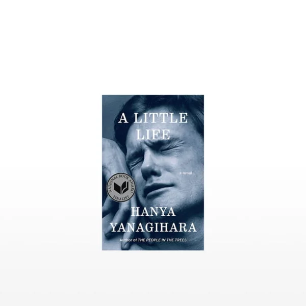 'A Little Life' book by Hanya Yanagihara. Profound novel gift for China.